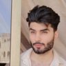 hady abu saleem 的头像
