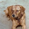 Nik profil fotoğrafı