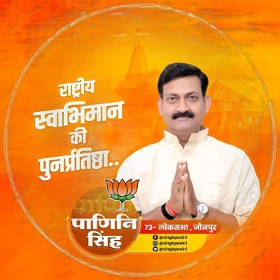 Panini Singh's profile picture