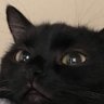 Profilbild von 𝙎𝙢𝙤𝙤𝙨 🅴