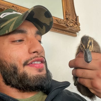 Abdul Fattah's profile picture