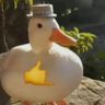 angi's profile picture