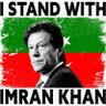 Staunch Insafian's profile picture