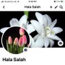 Фото профиля Hala Salah