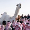 درع نجد profil fotoğrafı