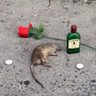 El - PolSciEconSalsa's profile picture