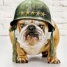Profilbild von DonG