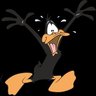 Daffy Dack 的头像