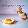 Speedy Chicken's profile picture