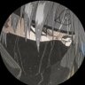 xColdest 的头像