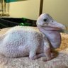 Barto profil fotoğrafı