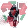 ❤️🇮🇩 СУПЕР Z³ 🇵🇸❤️'s profile picture