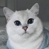 m0m's profile picture