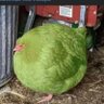 Davidddd's profile picture