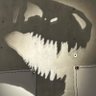 アセト=アミノフェン's profile picture