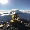 A BITCOIN! CRYPTO BLOCKCHAIN WEB3.0's profile picture