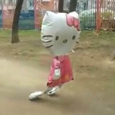 모리's profile picture