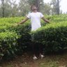 Lutie_Surya...'s profile picture