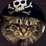 KotInSea's profile picture