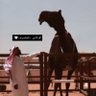 عبدالله's profile picture
