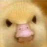 Join Ort's profile picture