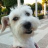 empower profil fotoğrafı