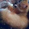 Rabiya profil fotoğrafı