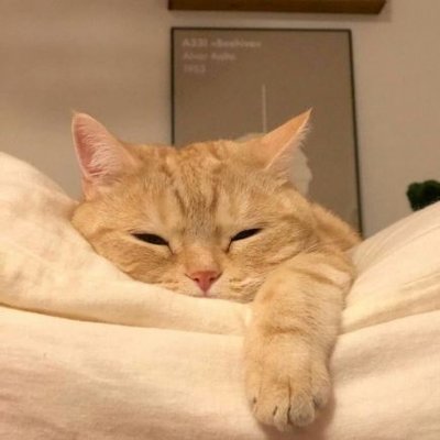 realpnm's profile picture