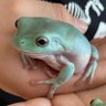 Фото профиля ぴろぴろさん