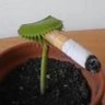 mr.porraso's profile picture