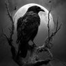 الغراب's profile picture