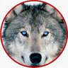 Profilbild von JM Cobalto