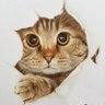 Profilbild von कचरा वाला