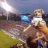 Out Of Context Vélez 的头像