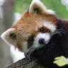Silver's profile picture