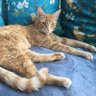 lily_star profil fotoğrafı