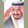 نوره بنت محمد بن زعير💚🇸🇦's profile picture