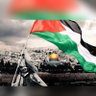 🇵🇸🇶🇦 的头像
