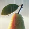Фото профиля Pear Stocks