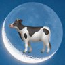 Madcow profil fotoğrafı