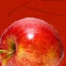 Profilbild von Joblife Pomme