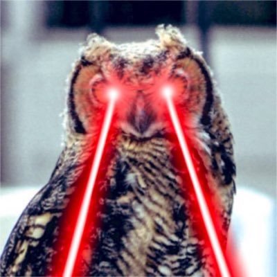 dmp267's profile picture