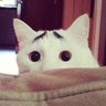 みゆき profil fotoğrafı