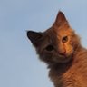 wafa's profile picture
