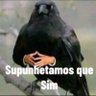 Verdades Difíceis's profile picture