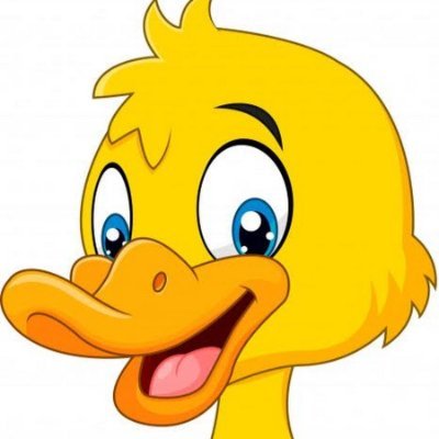 ShashaScarlet's profile picture