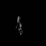 Sameer Razzaq profil fotoğrafı