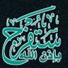 Profilbild von Saleh Ibrahim