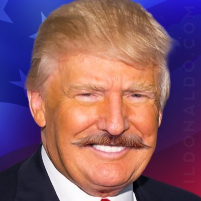 ᵖᵃʳᵒᵈʸ Donald trumpo's profile picture