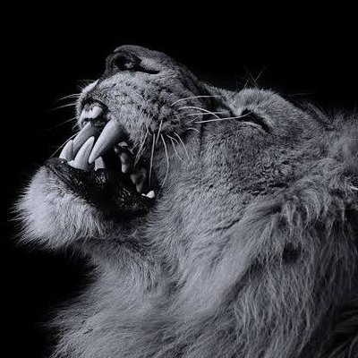 BankableBabs's profile picture